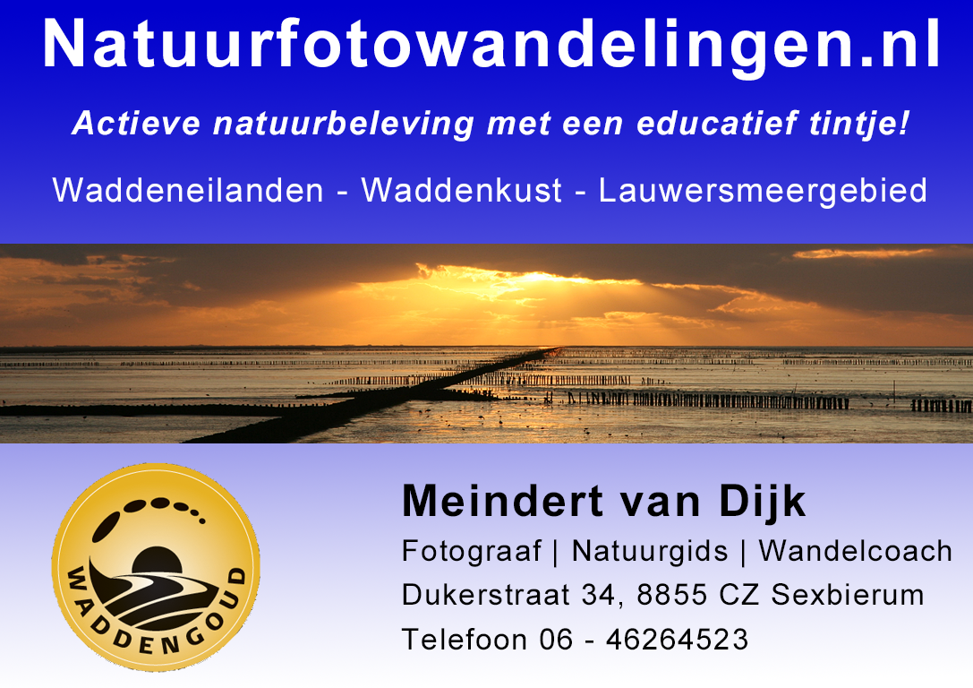 Advertentie Natuurfotowandelingen.nl